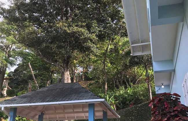 The Ocean Blue Beach House - Photo 8