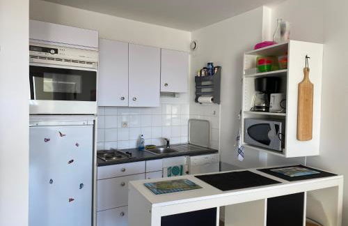 REF 086 Appartement T2 avec terrasse résidence avec piscine - Foto 3