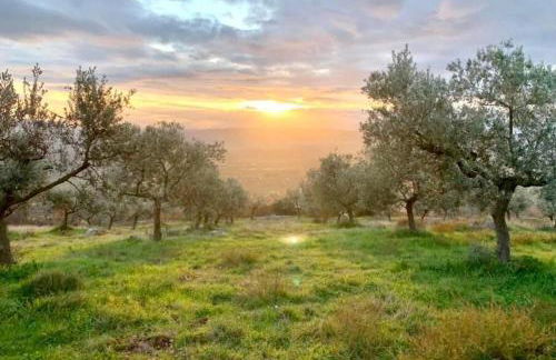 Casa Vacanze Porta Fontevecchia panoramica - Foto 78