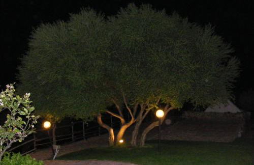 Tenuta Su Vrau - Foto 39