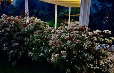 White House - Foto 6