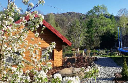 Księżycowe Domki w Bieszczadach - Foto 16