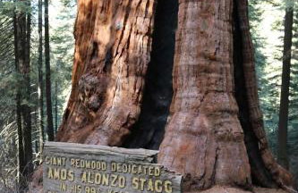 BunkHouse 1960's Camp Vibe with Timeless Wet Bar - Foto 59