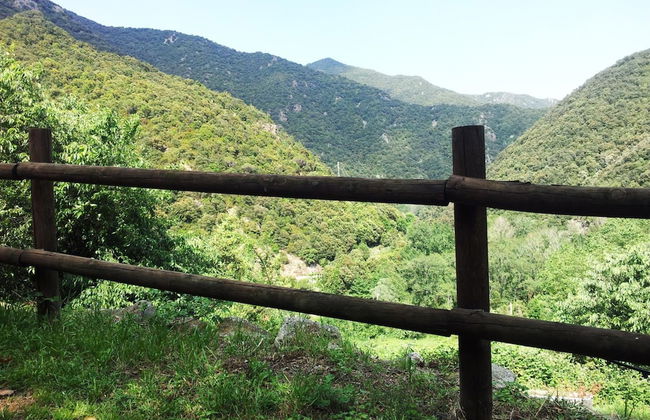 Mas Els Terrats - Foto 45