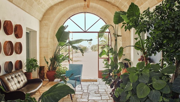 Masseria Palombara Relais & SPA - Adults only - Foto 5, Receção