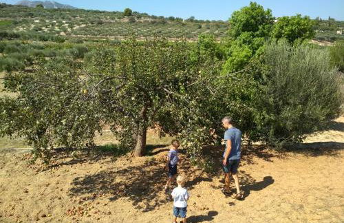 Eden Garden Luxury Loft near Knossos - Photo 46