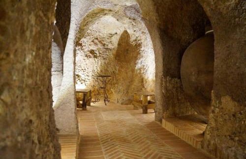 Casas de Valois - Foto 18