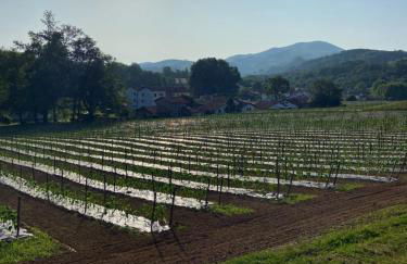 A la Colline de la bergerie - Foto 20