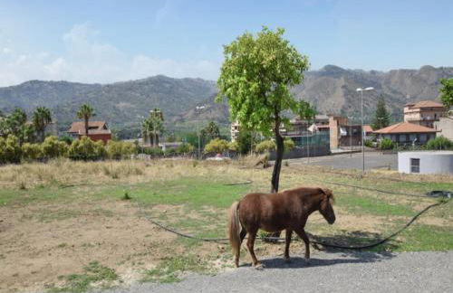 Villa in Gaggi with Pool near Mount Etna - Foto 24