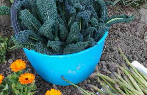 LA TANA DEL PICCHIO - Photo 28