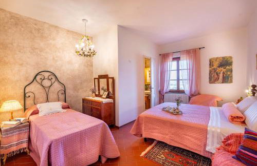 Il Fico e La Civetta - Foto 18