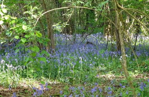 The Calf Cotts - Foto 32