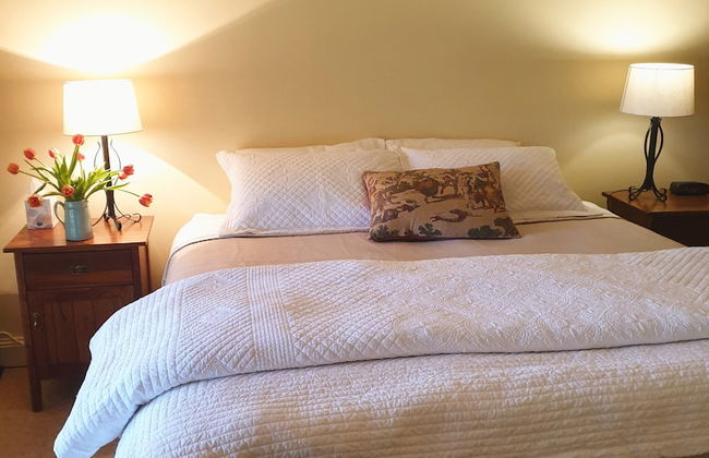 Byronsvale Vineyard and Accommodation - Foto 5