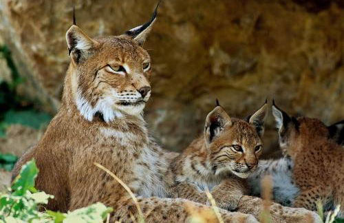 Studio tout confort - Foto 37