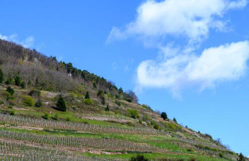 Gîte Le Rempart - Photo 27
