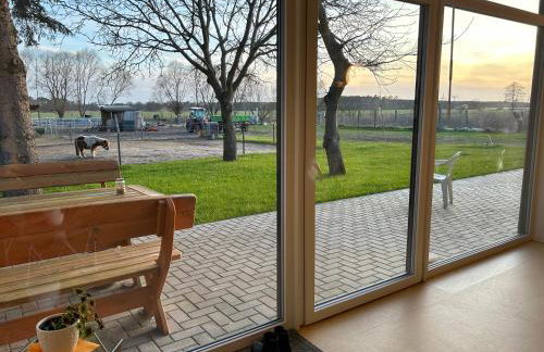 Dorfstraße 32a - individuelle Unterkunft für bis zu 13 Personen - Foto 1