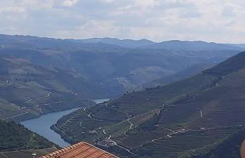 Casa do Jornaleiro - Douro - Foto 26