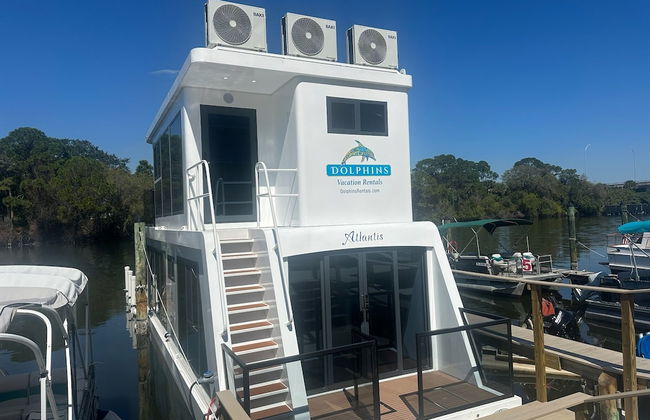 Dolphins Vacation Rental - Foto 24