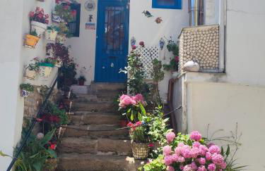 Tazones 79 VUT6993AS - Foto 61