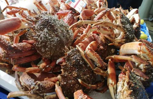 Sweet home en plein coeur de Quimper - Photo 22