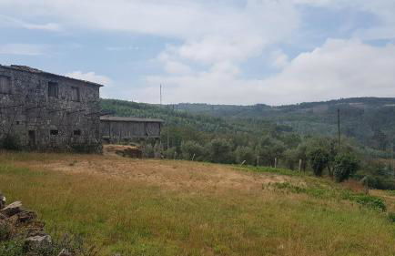 Casa da Mena - Casa de Campo no Caramulo - Foto 32