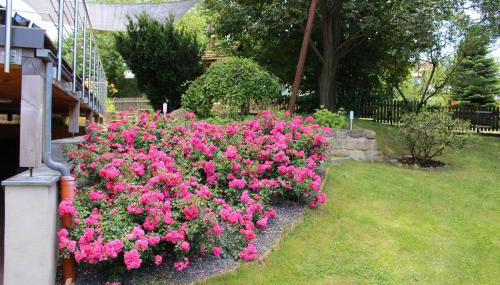 Ferienhaus Kraxlhütte Waltersdorf - Foto 2, Garden view