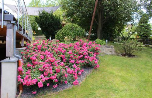 Ferienhaus Kraxlhütte Waltersdorf - Foto 2