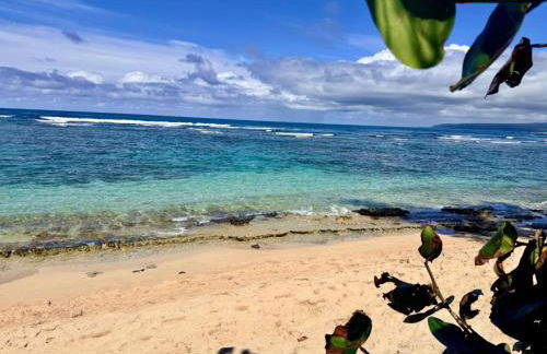 Hibiscus Hale - Perfect for 2! - Foto 15