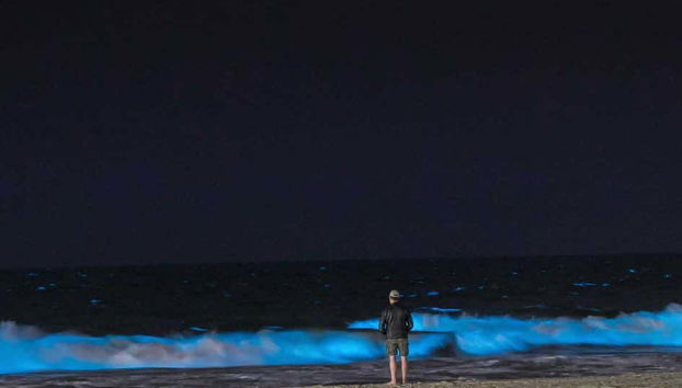 Contemplando la luminiscencia