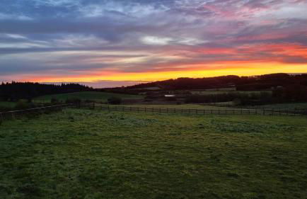The Cabin at Forestview Farm - Foto 24