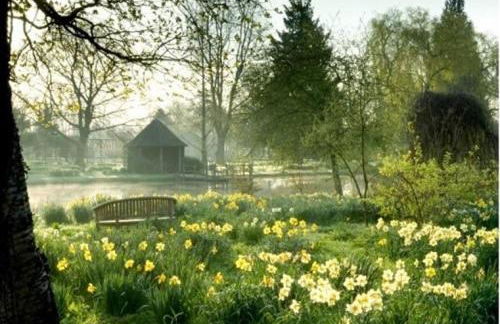 Cosy Rural Retreat Perfect for Families and Pets - Foto 17