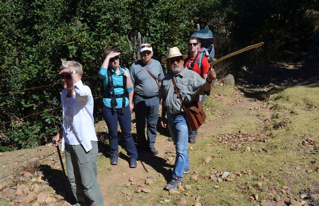 Randonnée à Guanajuato - Photo 4