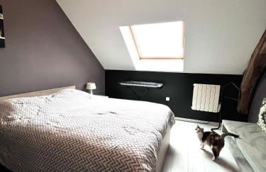 Maison à 5 minutes des 24H du Mans - Photo 25