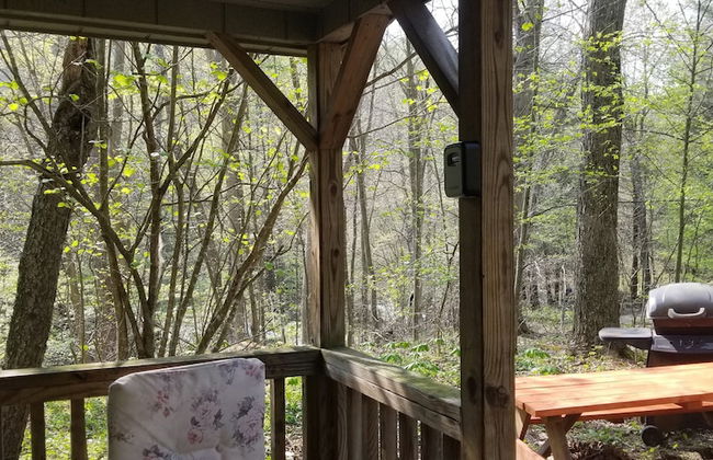 Abrams Creek Center - Foto 35