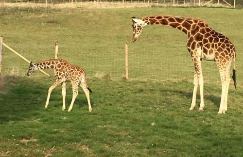 The Lookout - Foto 22