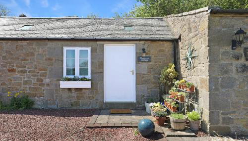 Plumtree Cottage - Foto 3