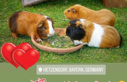 Wunderwelt Betzenstein familiär-ländlich-modern - Foto 6