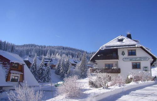 Schwarzwald-Hotel Kraeutle - Foto 2