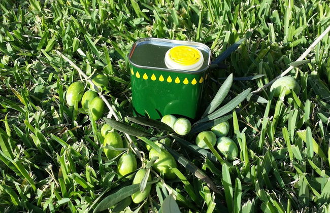 Casale Della Pergola With Cottage Sugarcane Pool - Foto 41