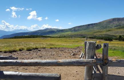 Appartements Schusterhof - Foto 51