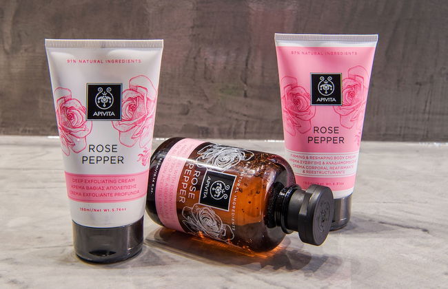 Centro Houses - Foto 19