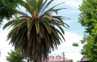 Casa Toníca - Foto 29