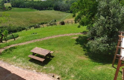 Antonella House -Podere della Collina - Foto 3