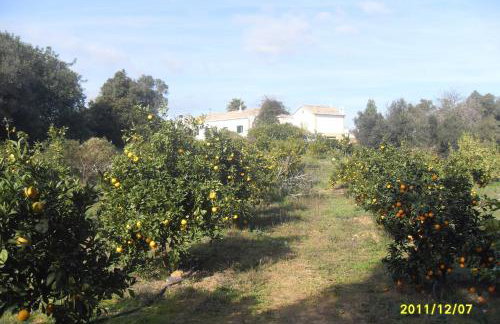 MONTE DAS AREIAS CASA DE CAMPO/PASSADIÇO/PATEO/RAMPA - Photo 16