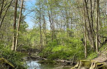 Retreat on Lake Milton - Foto 22