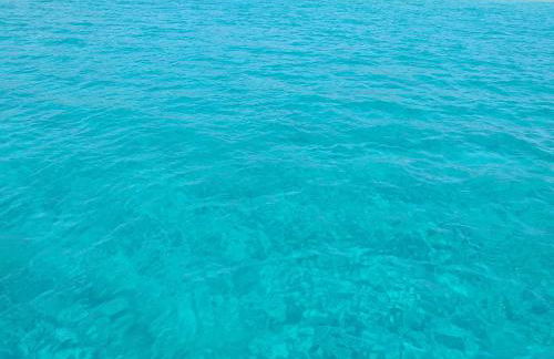 Brezza di mare appartamento in Villa con giardino e spiaggia ,casa vacanze al mare - Foto 16