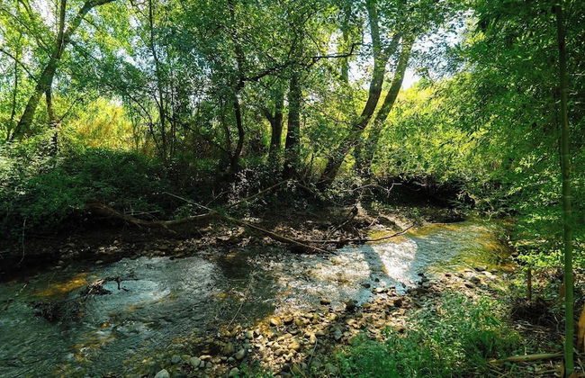 Family Paradise: Exquisite Retreat For Holidays - Foto 46