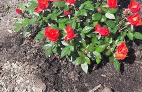 Gîte détente Domaine de Helles -Spa Privatif et Sauna - Foto 27