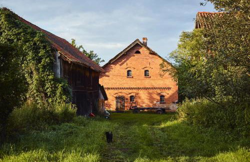 Dębinówka - Foto 28