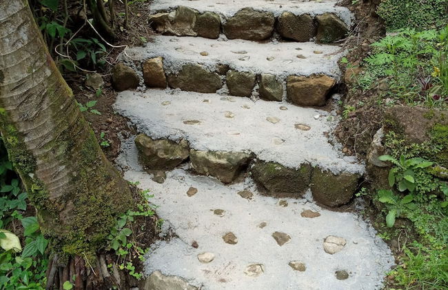 Berkey's Jungle Paradise - Photo 48